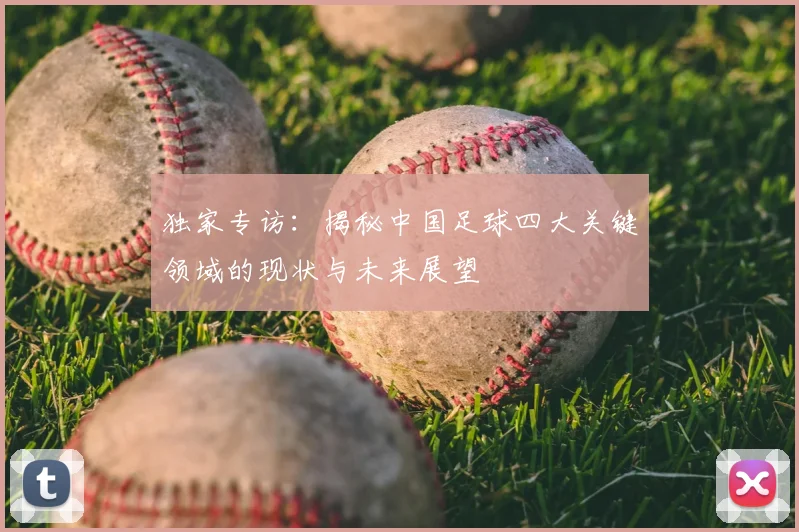独家专访:揭秘中国足球四大关键领域的现状与未来展望